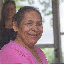 Guadalupe Lazcano Profile Photo