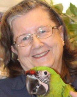 Dr. Janice Dinegar Boyd Profile Photo