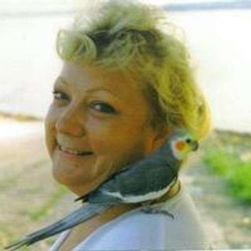 Donna Lynn Hanks Profile Photo