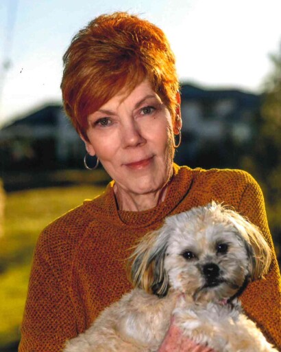 Linda Sue Zimmerman Profile Photo