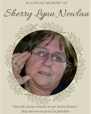 Sherry Newlan Profile Photo