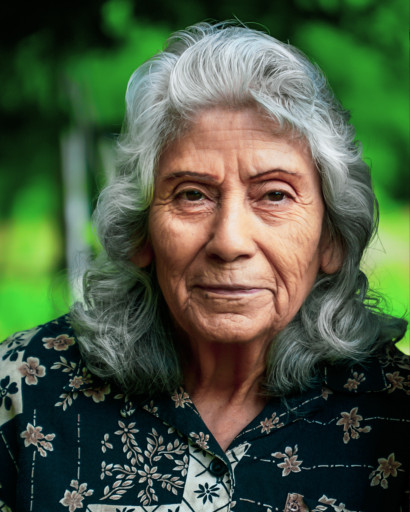 Ms. Mary V. Gutierrez Resident of Tahoka Profile Photo