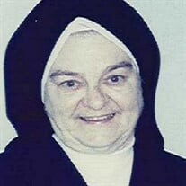 Sr. Mary Joseph Brady Bielecki O.Carm. Profile Photo