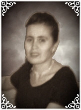 Luz Hernandez Profile Photo