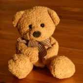 Mr. Jerry Wayne "Teddy Bear" Ryan Profile Photo