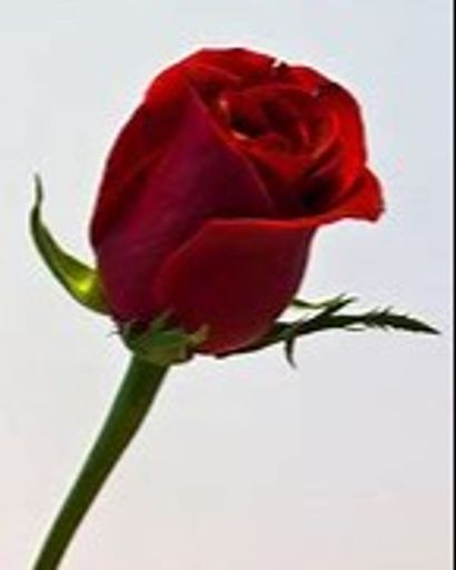 Mary Lou Jackson Profile Photo