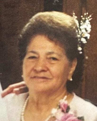Elva P. Delgado Profile Photo