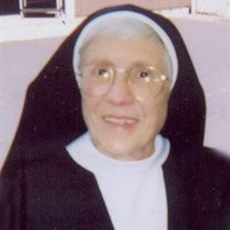 Sister Bernadette Ranallo Profile Photo