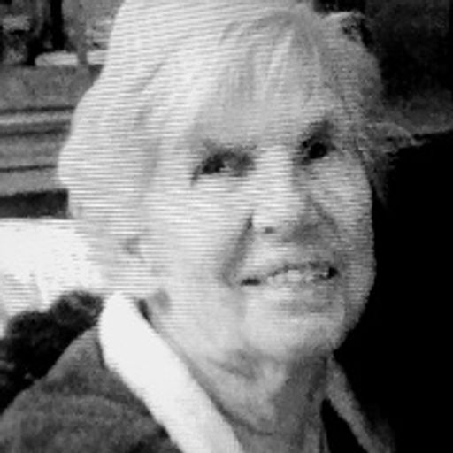 Mary E. Brehm