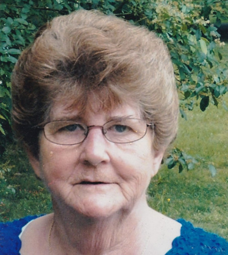 Shirley Elaine (Gwyn)  Wilson