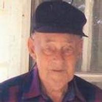 Delbert Cecil Lovins