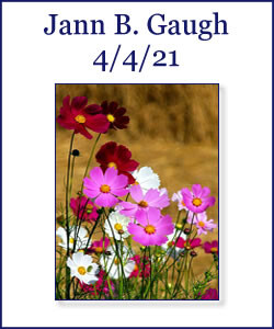 Jann Gaugh Profile Photo