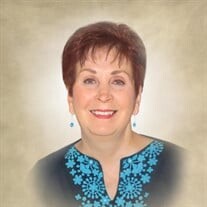 Mrs. Diana Polletta Profile Photo