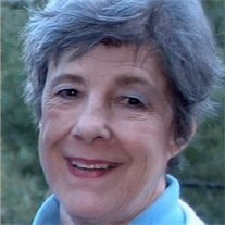 Judy Sill Profile Photo