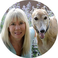 Judy K Paulsen Profile Photo