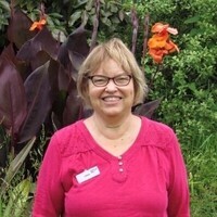 Linda A. Lueck Profile Photo