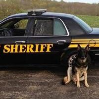 Deputy K9 Dooley Profile Photo