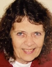 Ann  L.  Austin  Profile Photo