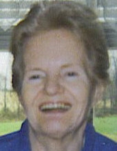 Virginia Sue Heffelfinger Profile Photo
