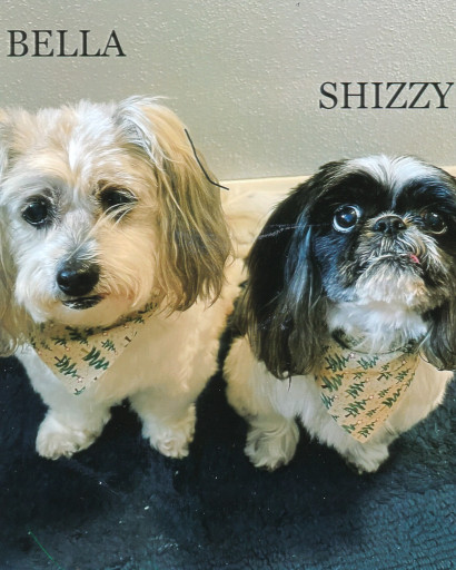 Bella & Shizzy Salzwedel Profile Photo