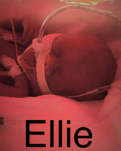 Ellie Jean Morton Profile Photo