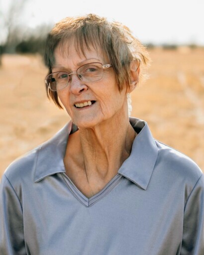 Sandra Van Gerpen's obituary image