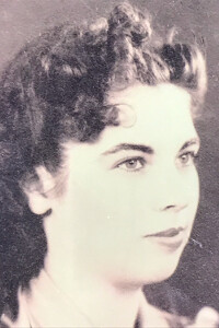 Marion D. Pezzulo Profile Photo