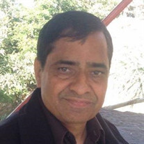 Suman K. Panchal Profile Photo