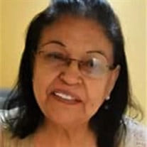 Arminda Ortega Aranda Profile Photo