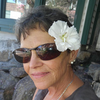 Debra Ann Miller Profile Photo
