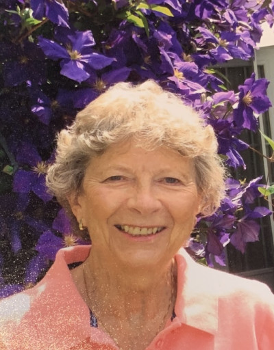 Barbara O'Rourke Profile Photo
