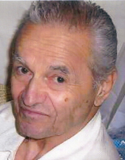 Armando A. Nicini Profile Photo