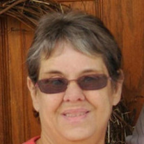 Lois Hill Profile Photo