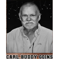 Carl "Buddy" Goins Profile Photo