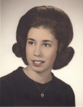 Mary Sue Bridget Scordato, Ofs Profile Photo