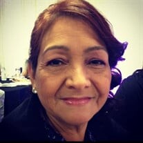Sandra Rodriguez Torres Profile Photo