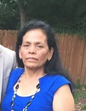 Maria Guadalupe Toledo-Garcia Obituary 2020 - Hall Wynne Funeral Home