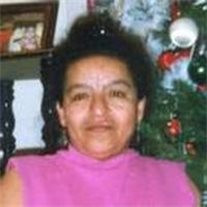 Rosa Amalia Palacios Profile Photo