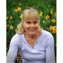 Dr Sheryl Ann Smith Profile Photo