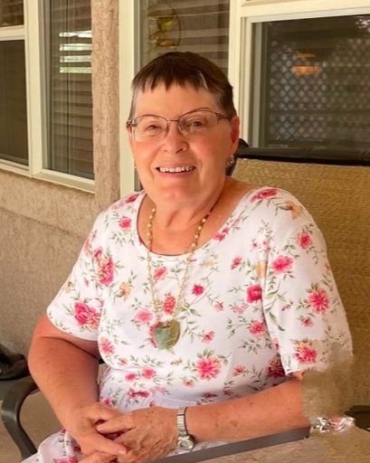 Terri Lynne Staheli's obituary image