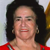 Evangelina V. Castaneda Profile Photo