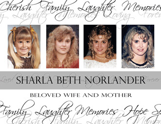 Sharla Norlander Profile Photo