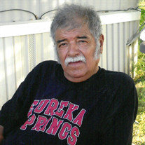 Pedro Ledesma Venegas