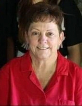 Judy  Louise Dingman Profile Photo
