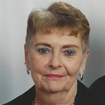 Donna J. Schipull Profile Photo