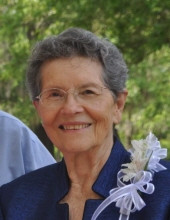 Nancy Faye (Holdiness) Johnston Profile Photo