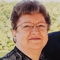 Carol J. Dietz