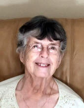 Virginia L. Ringquist Profile Photo