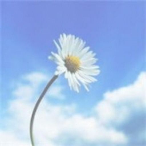 Nancy Ellen Ziemann Profile Photo