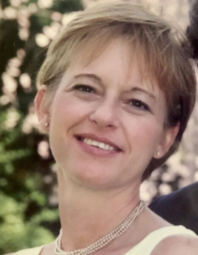 Lynne Hollifield Profile Photo